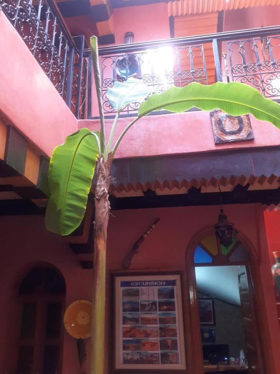 Hanafi * Marrakesh