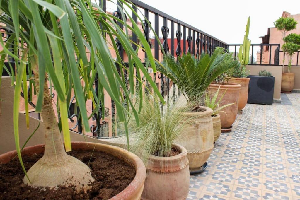 Apartment Dar Nouonsa
