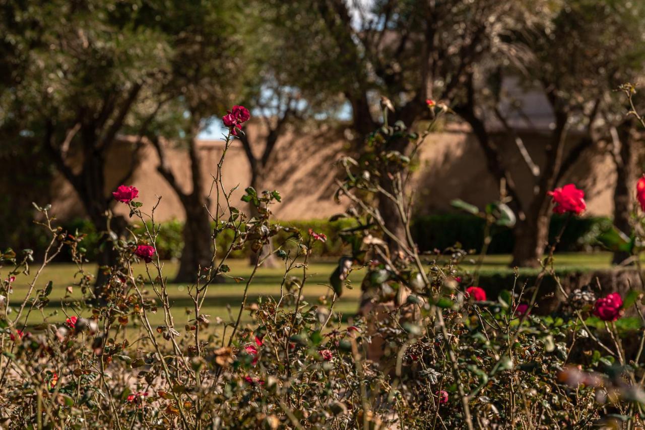 Le Palais Paysan Couette-café 4*
