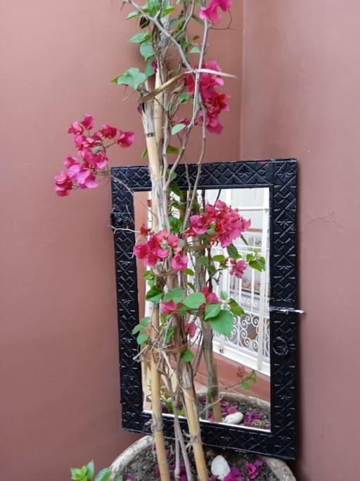 Ma Petite Maison En Medina * Marrakesh
