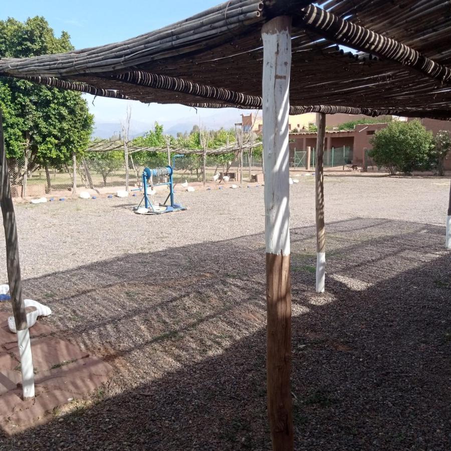 Ferme Berbere Villa