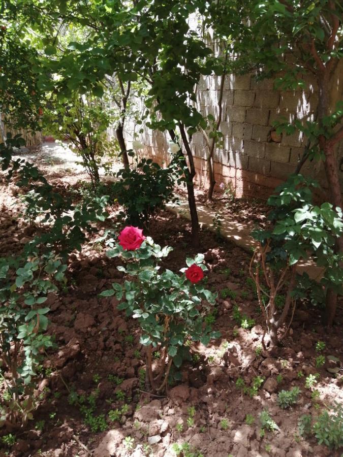 Maison Vallee De L'ourika Homestay