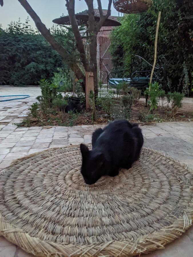 Dar Saafia Marrakesh
