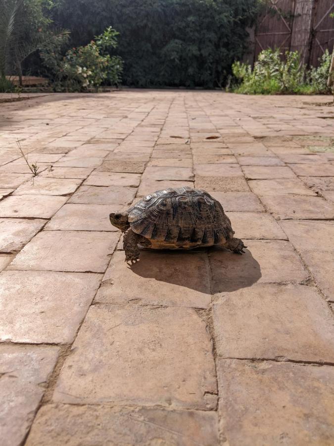 Hébergement de vacances Dar Saafia