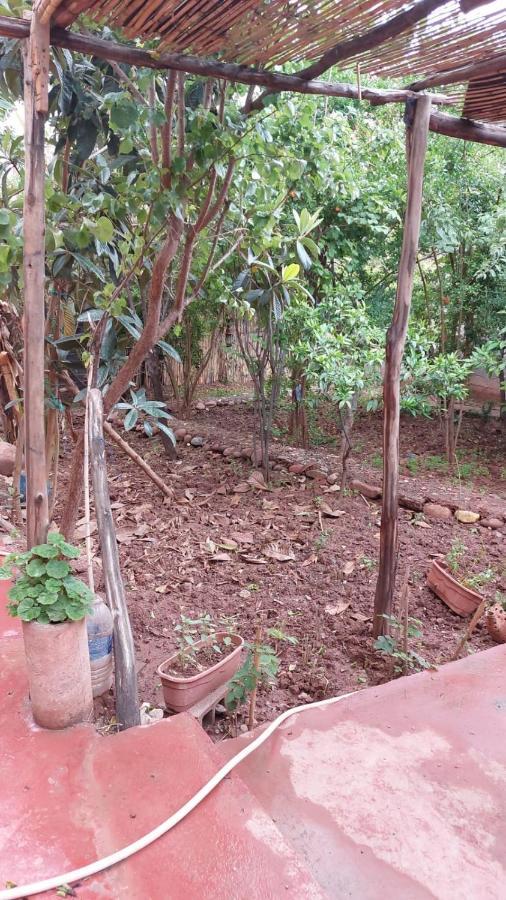 Homestay Maison Vallee De L'ourika Marrakesh