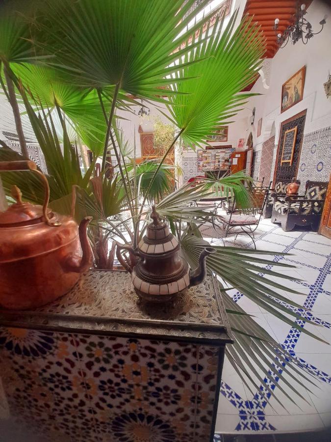 Chennaoui 3*