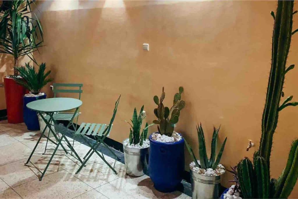 Dar Radia, Un Sejour Cosy & Chic A La Marocaine