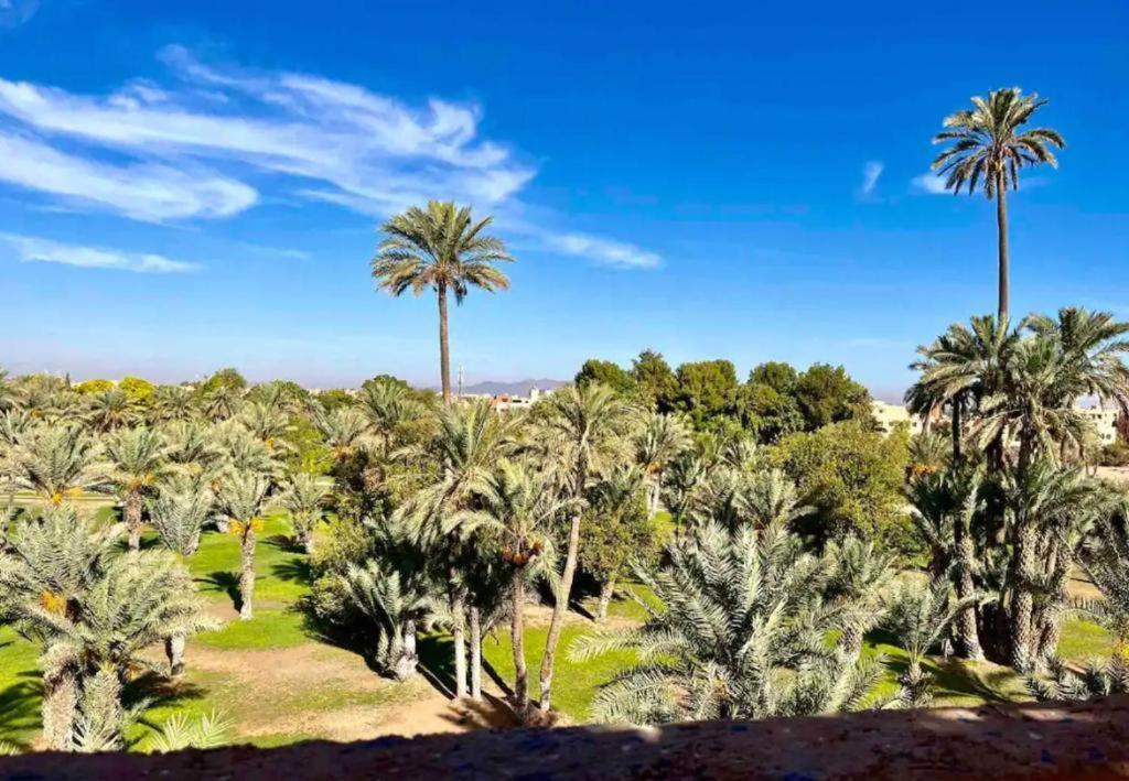 26 Amazigh Marrakesh