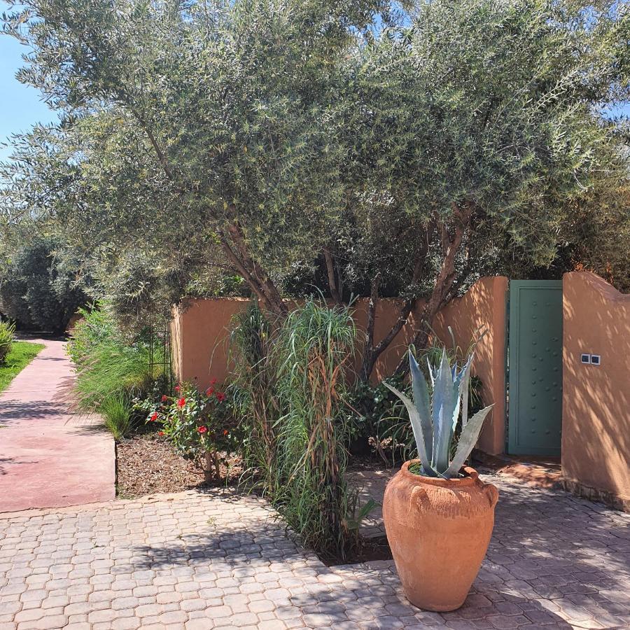 Riad Dar Gonzo &