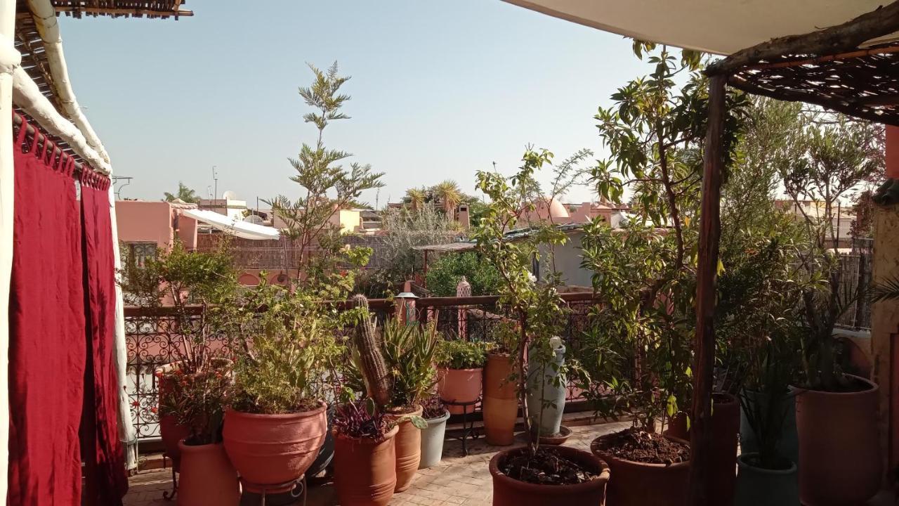 Maizie Marrakesh