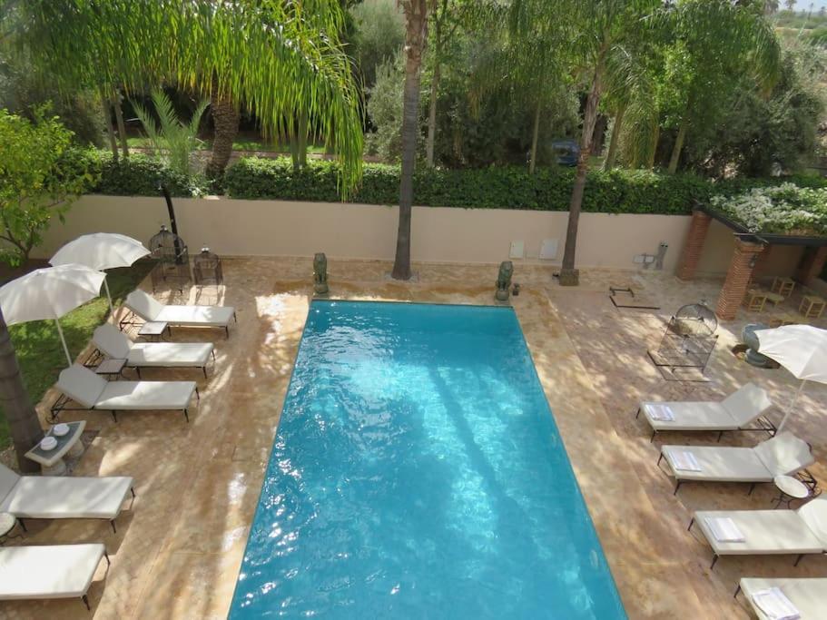 Jude Marrakesh