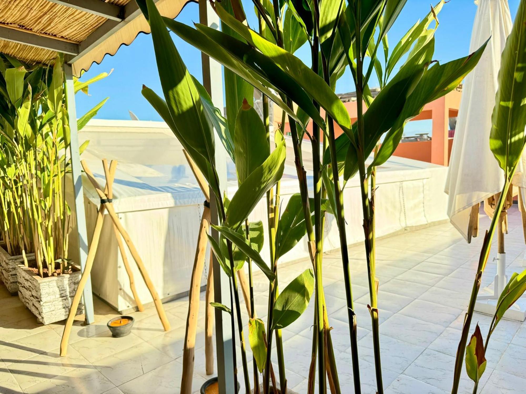 Maison d'hôtes Arrahma