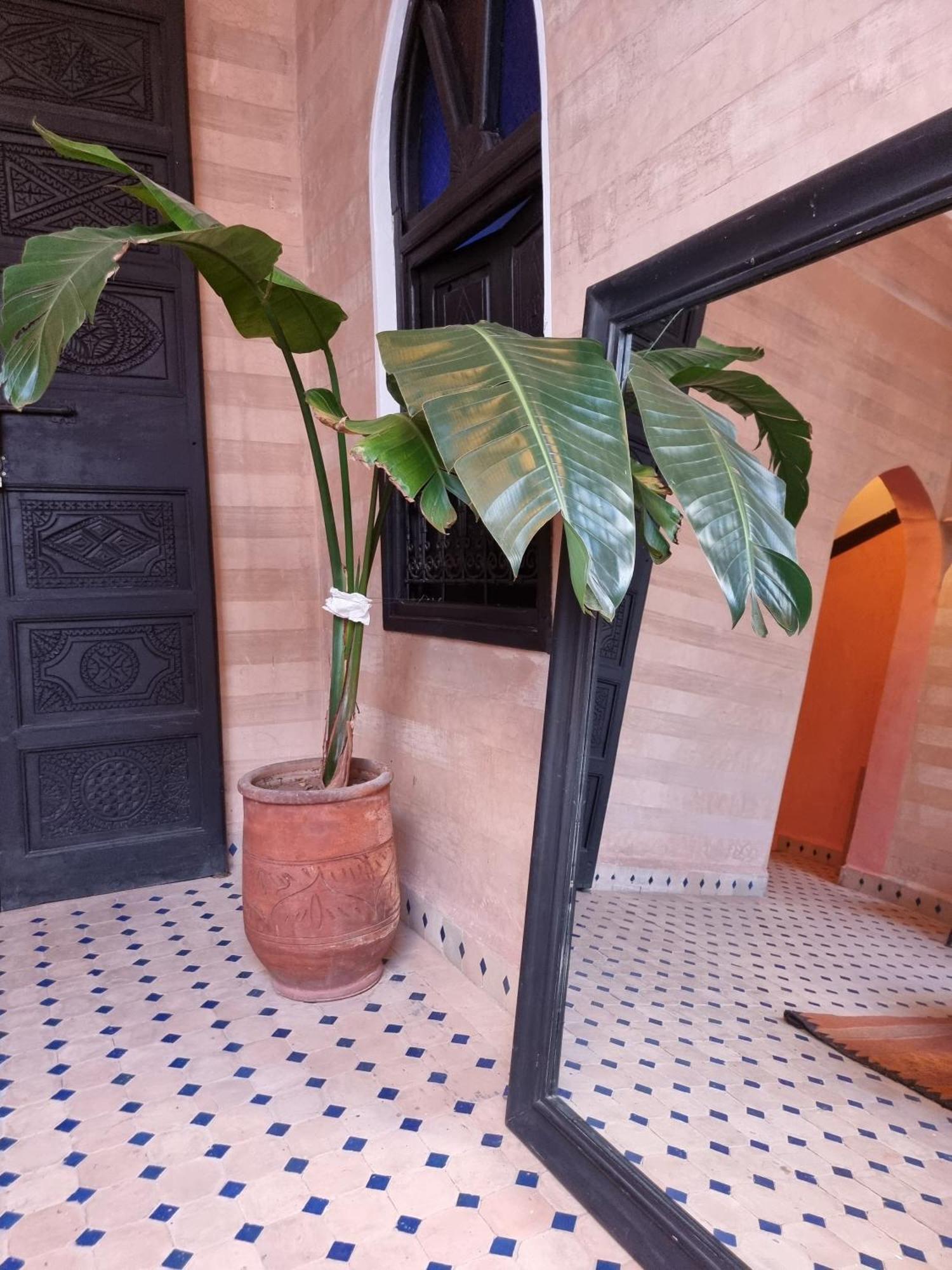 Black Doors Riad