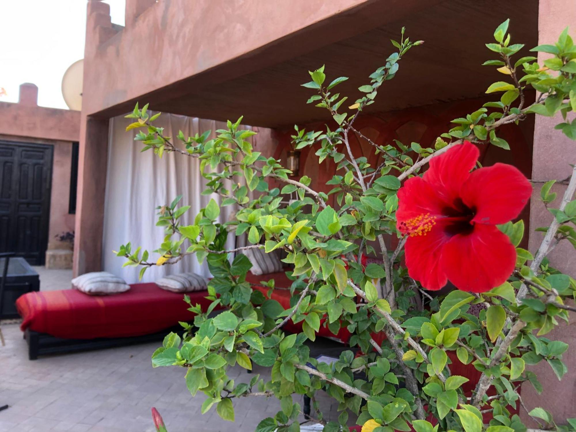 Riad Dar Fangui 2*