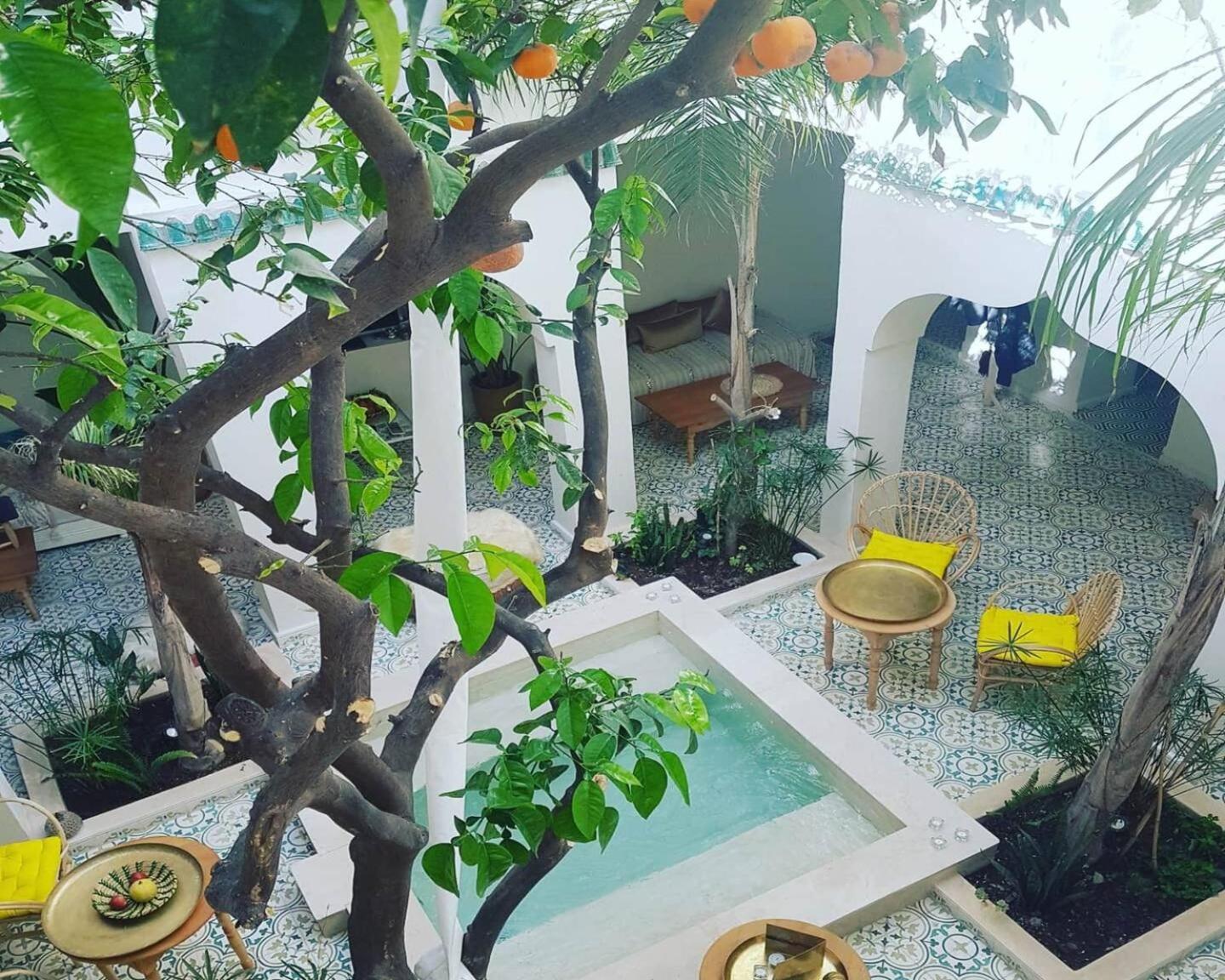Naanaa Riad