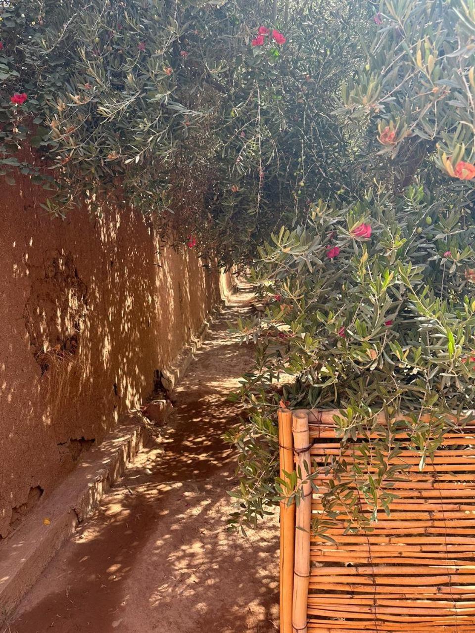 Villa Ms Holidays Mika Privatisee Marrakech *