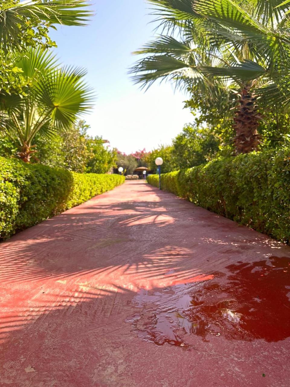 Villa Ms Holidays Mika Privatisee Marrakech Marrakesh