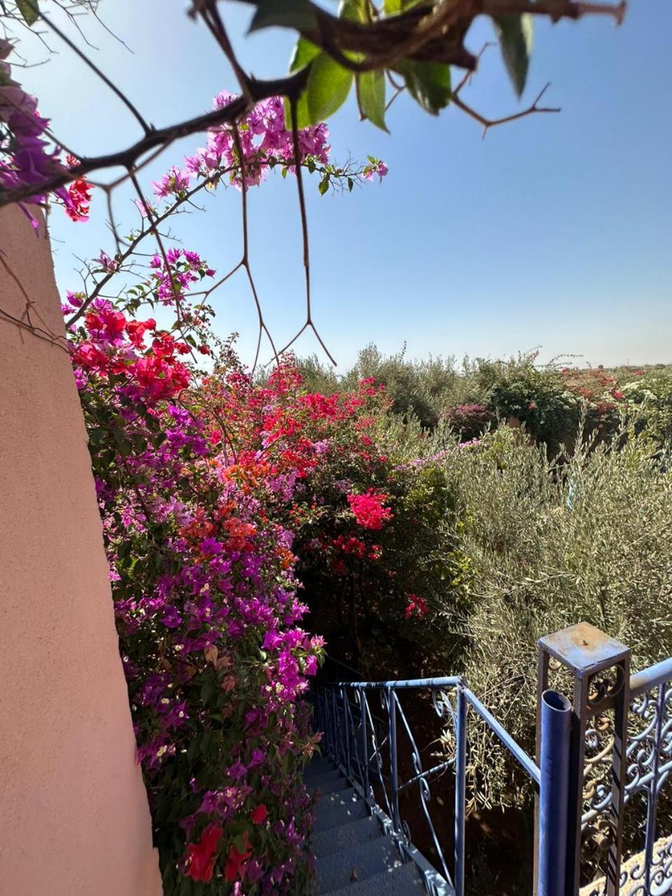 Ms Holidays Mika Privatisee Marrakech Villa