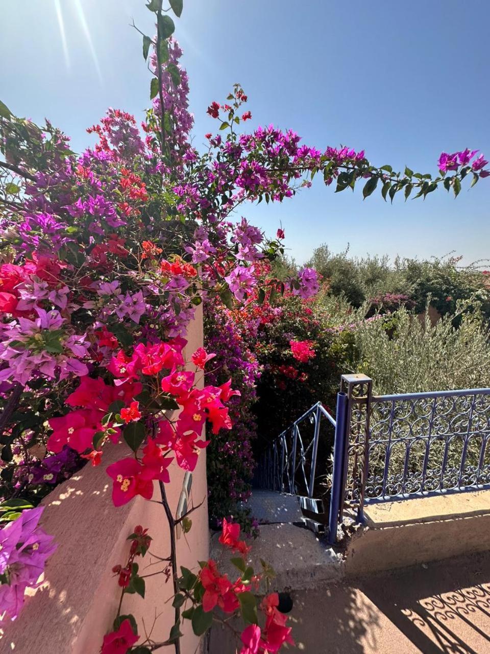 Ms Holidays Mika Privatisee Marrakech