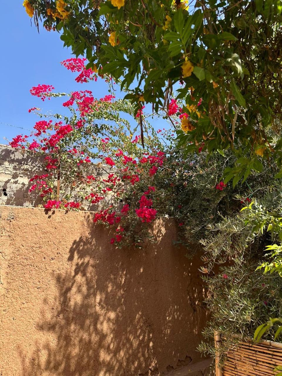 Ms Holidays Mika Privatisee Marrakech Marrakesh