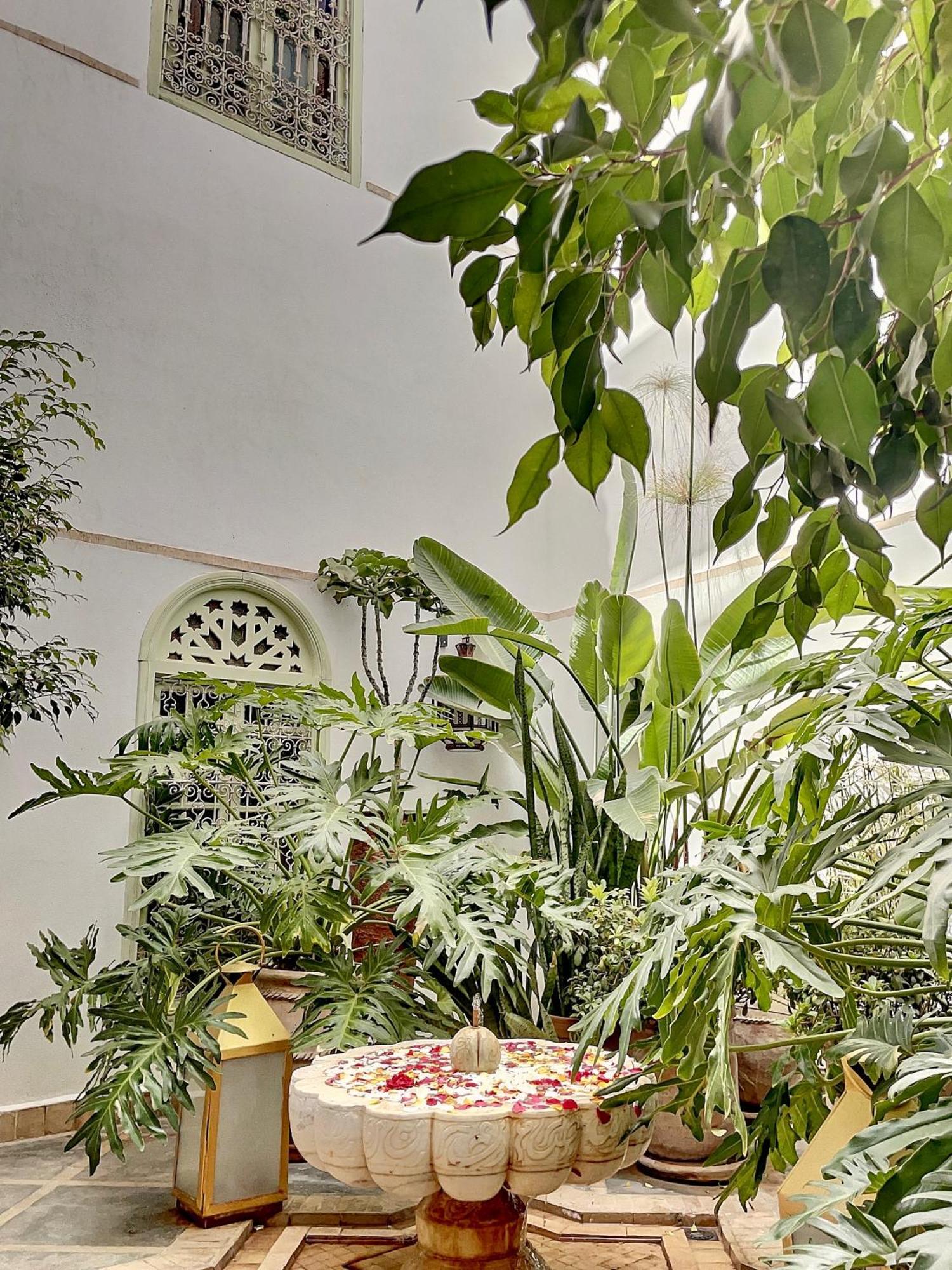 Dar Chacha Bed & Breakfast Marrakesh