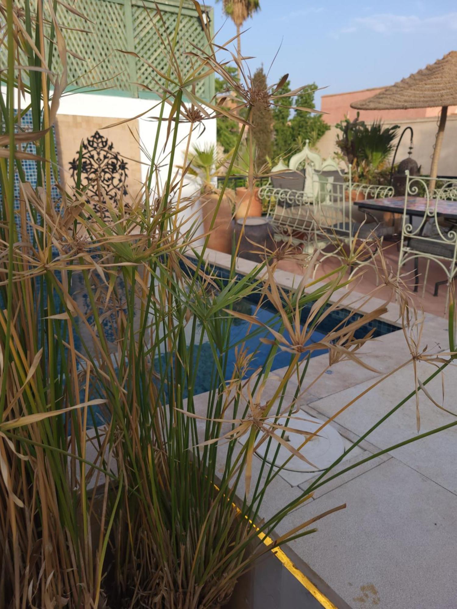 Riad Swaka Riad Marrakesh
