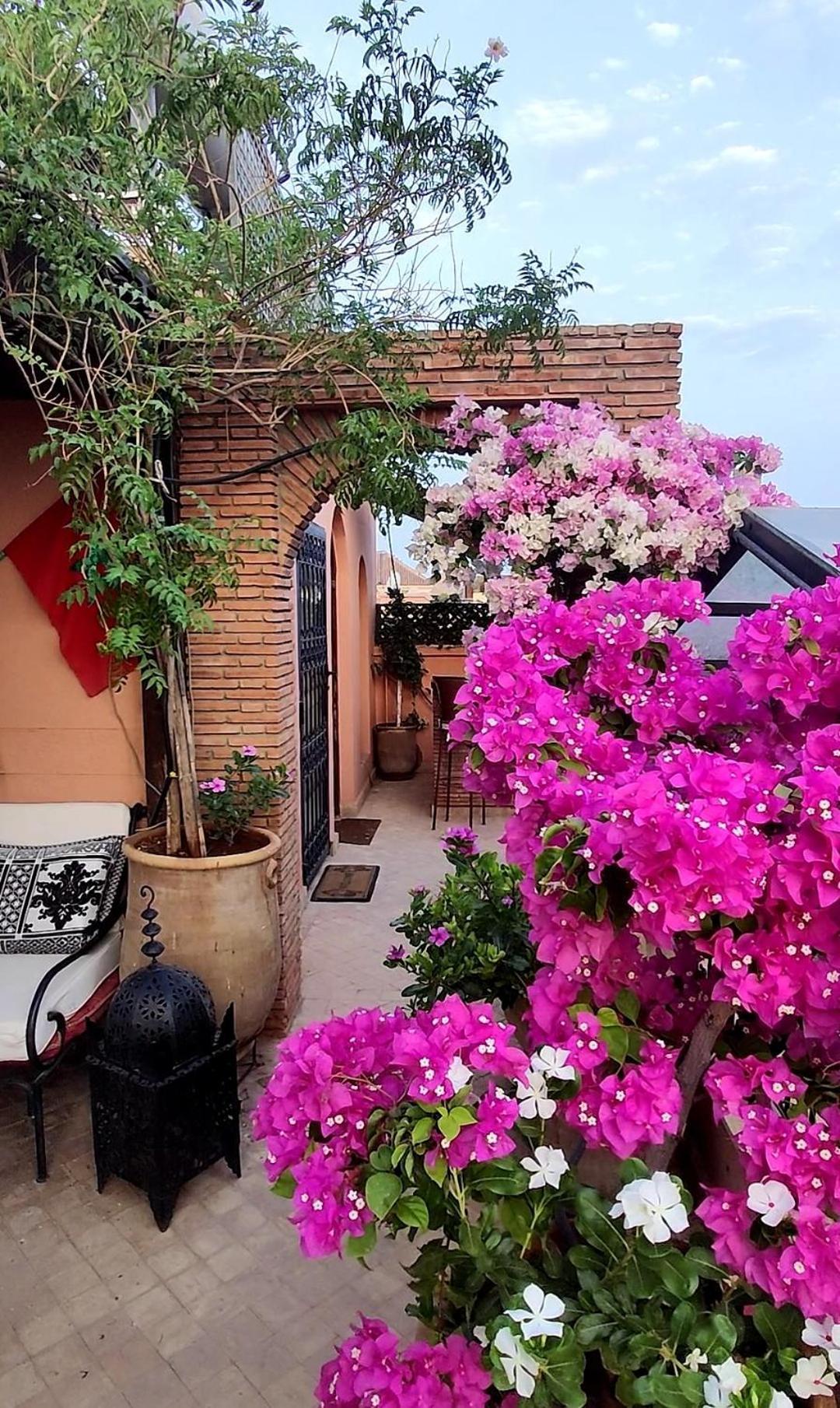 Riad Nirvana