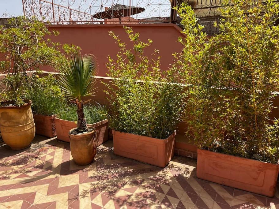 Nadara, Superbe Au Coeur De La Medina! Marrakesh
