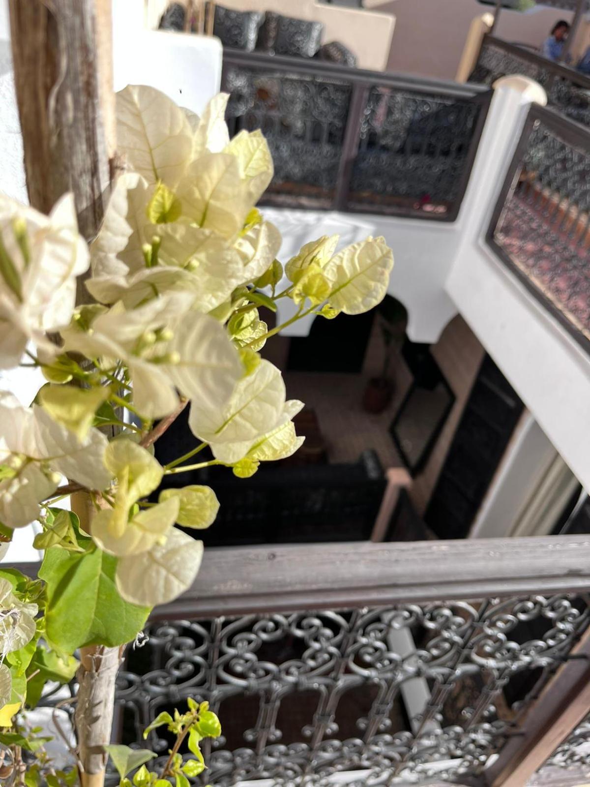 Black Doors Riad Marraquexe