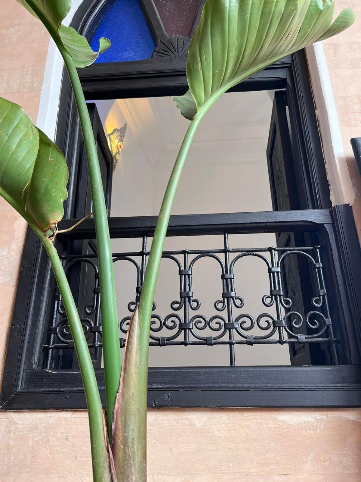 Black Doors Marraquexe