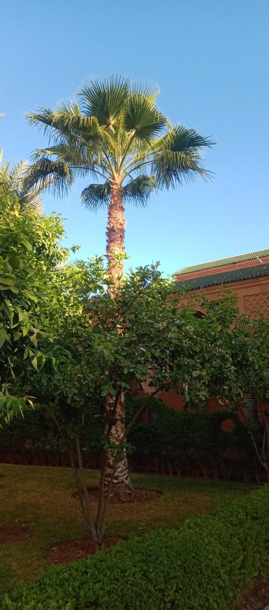 Casa de hóspedes Al-bushra Marraquexe