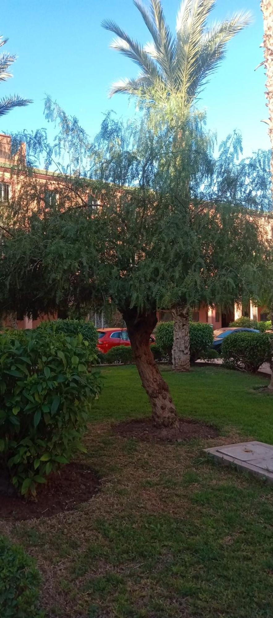 Al-bushra Casa de hóspedes Marraquexe