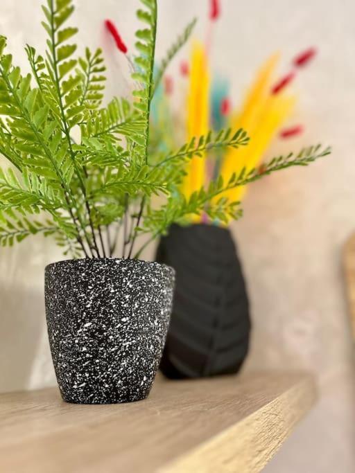 Yumo: The Cozy One Apartment Marrakesh