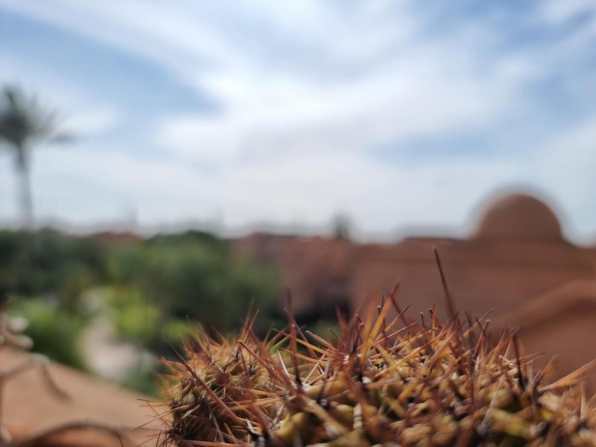 Apartamento La Perle De Marrakech By Atlas Golf
