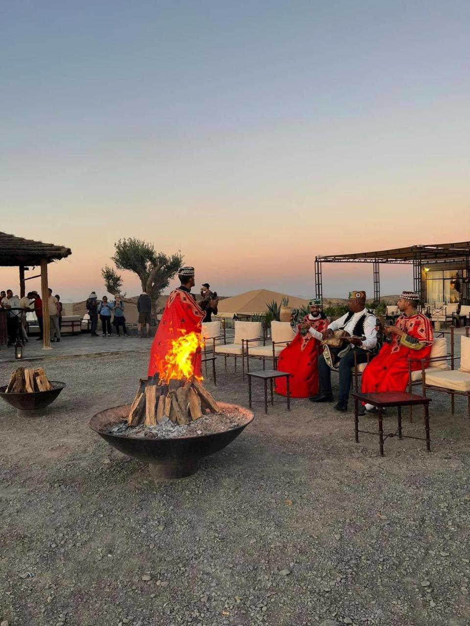 The White Camel Lodge *