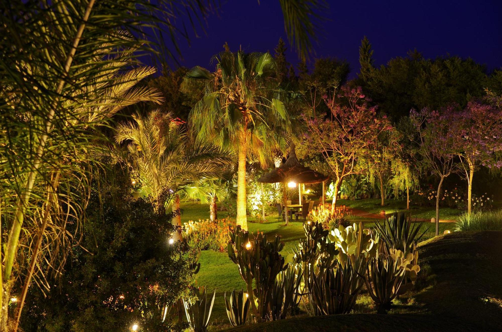 Malika Silvana * Marrakesh