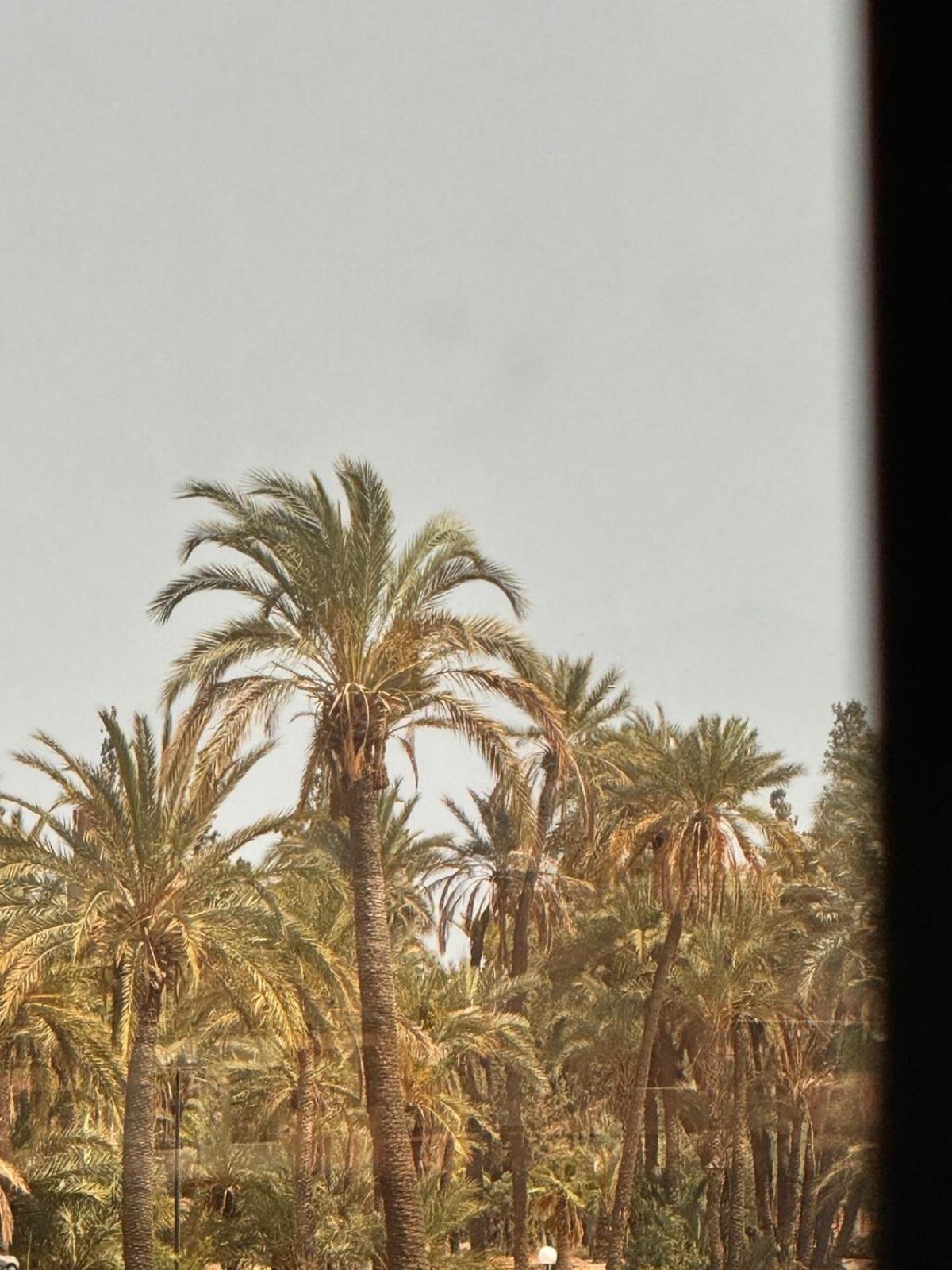 Apartment Malak - Avec Piscine, Wifi, Gardien H24 Marrakesh
