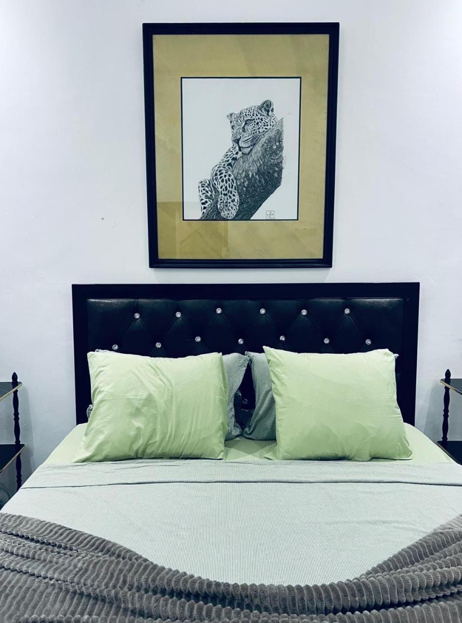 Bed and breakfast Dar L'artiste
