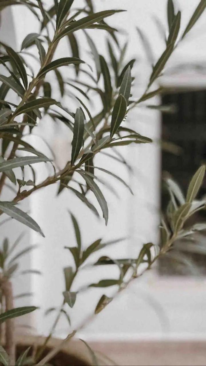 Homestay Kreme Marrakesh