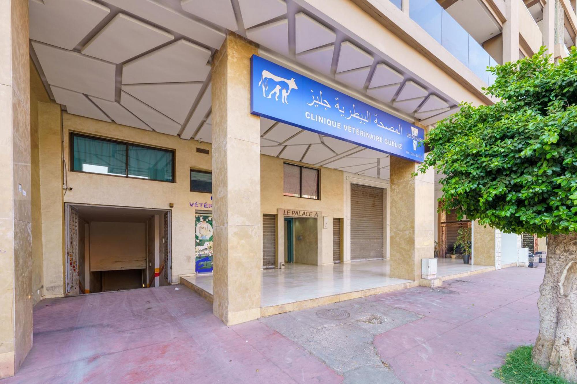 New ! Darsun - Terrasse - Fibre - Parking By Darlease Apartment