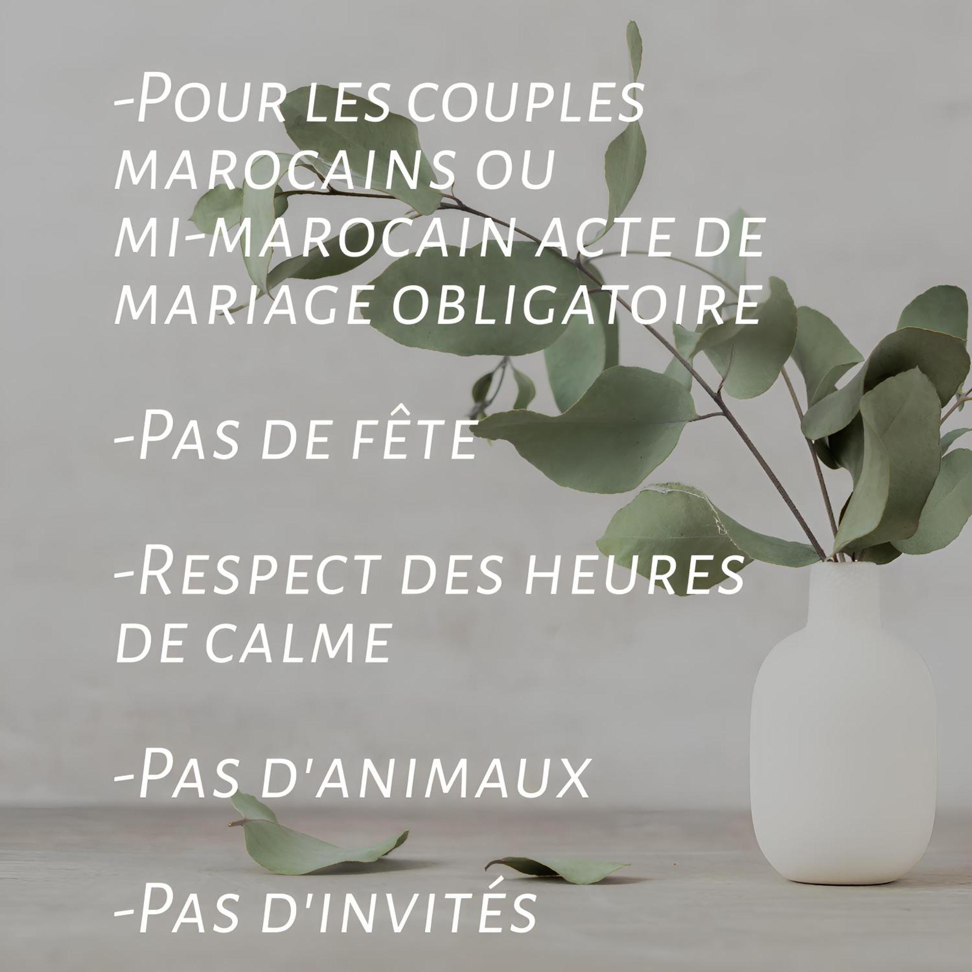 Yacout Majorelle Apartment *