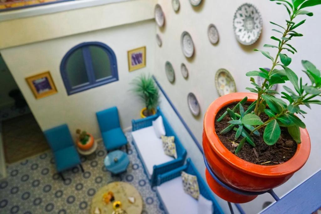 Winarouzehouse Riad *