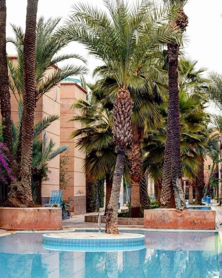Homestay Palmier Fleuri *