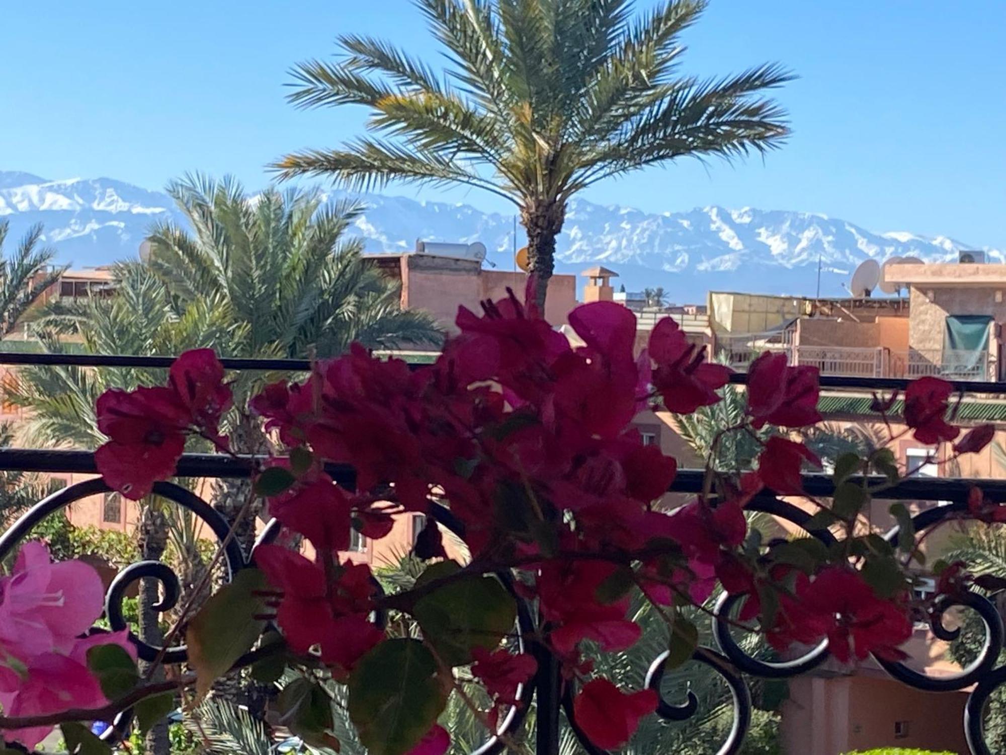 Palmier Fleuri Marrakesh
