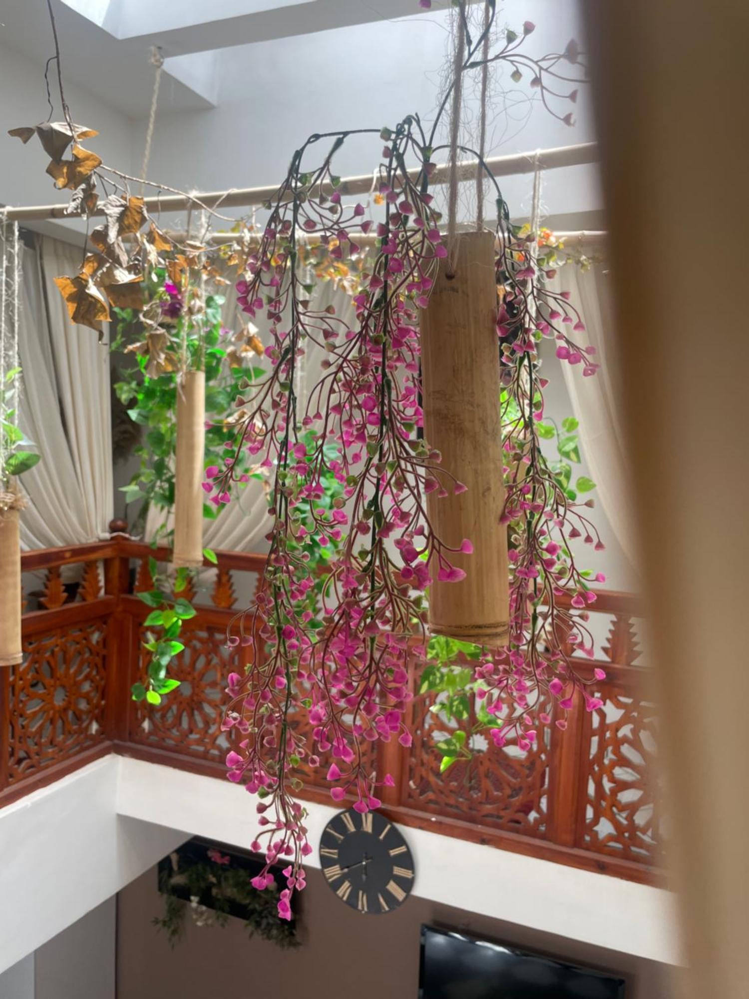 Palmier Fleuri Homestay *