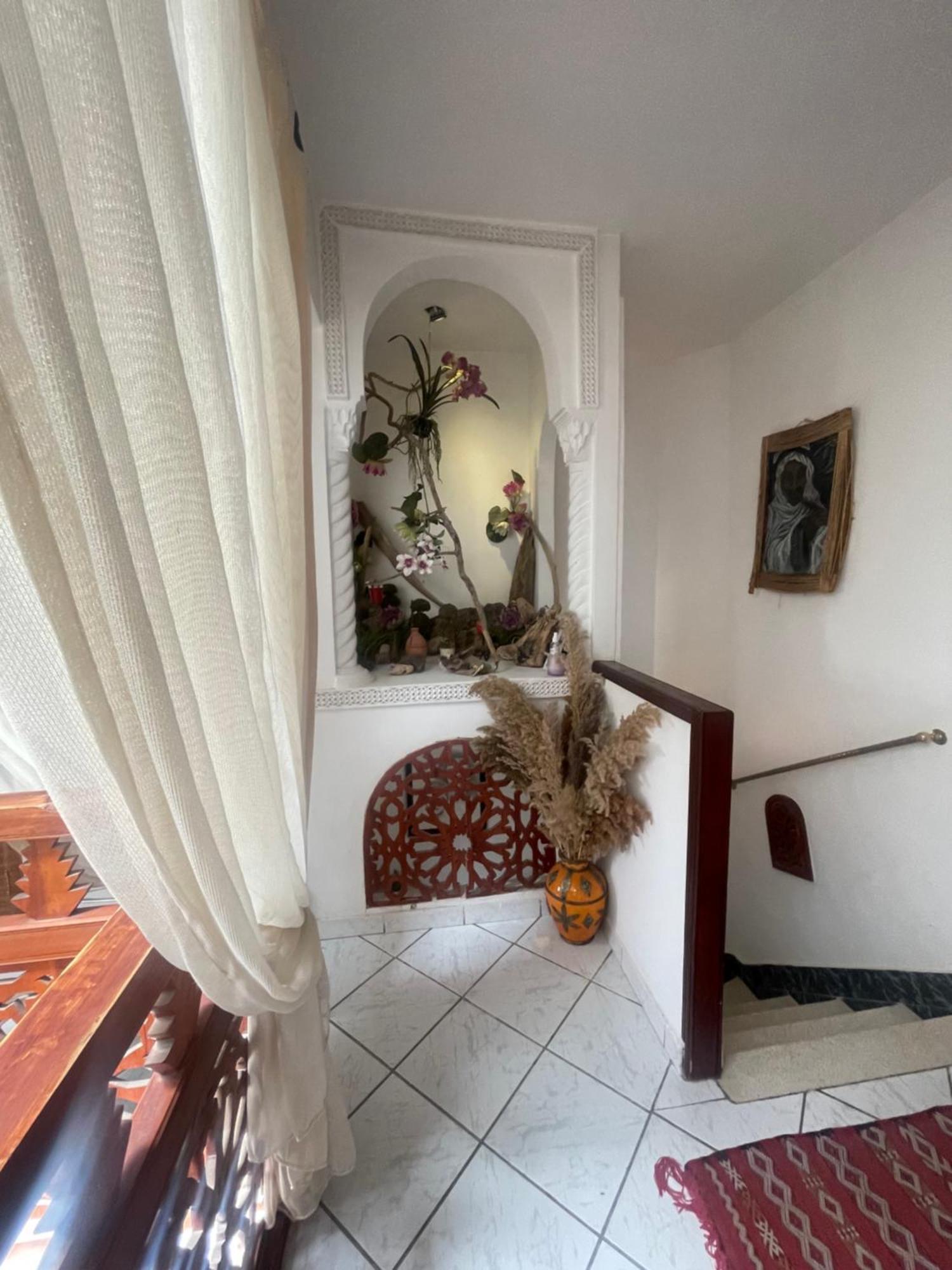Homestay Palmier Fleuri *