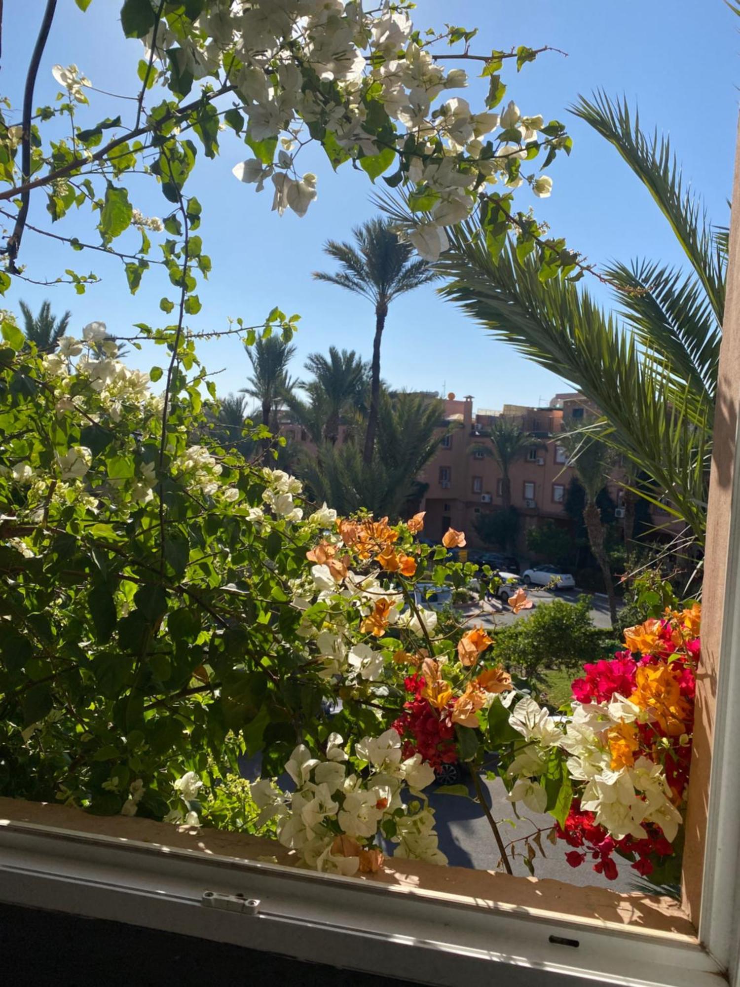 Homestay Palmier Fleuri