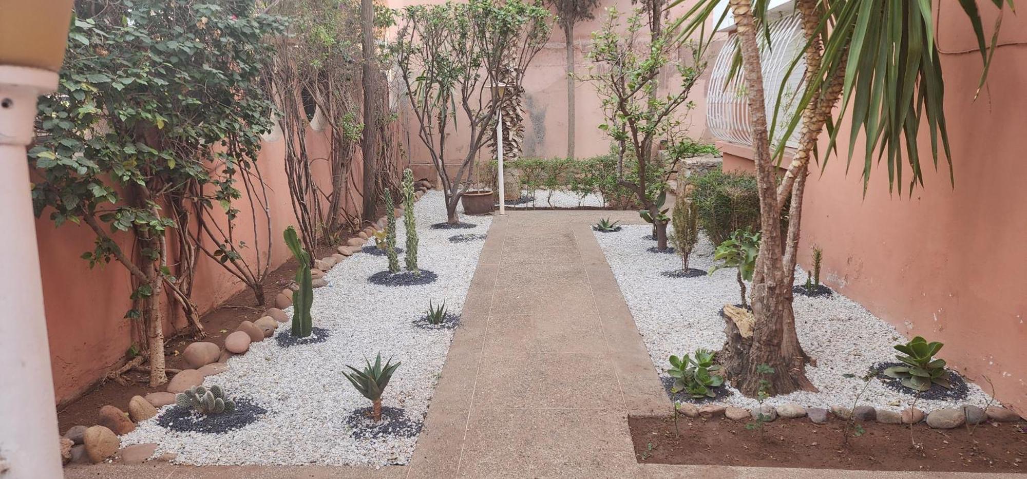 Velvet * Marrakesh