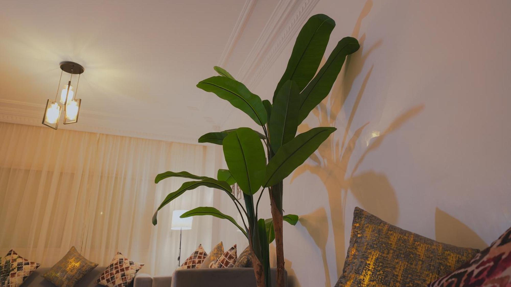 Modern In Centre Of Marrakech For Friends & Families Apartment *