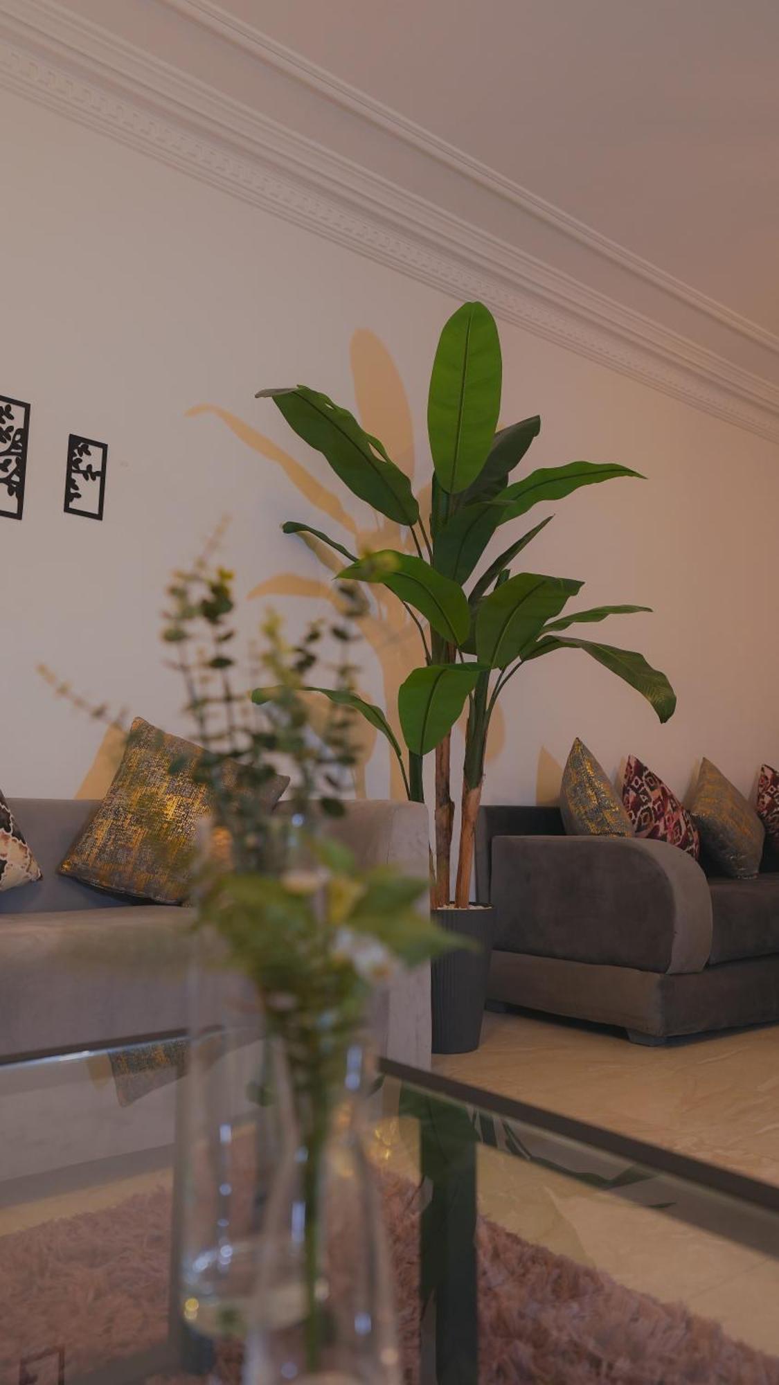 Modern In Centre Of Marrakech For Friends & Families * Marrakesh